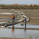 Apartmán Aveiro's Dock *