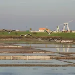 Aveiro's Dock *