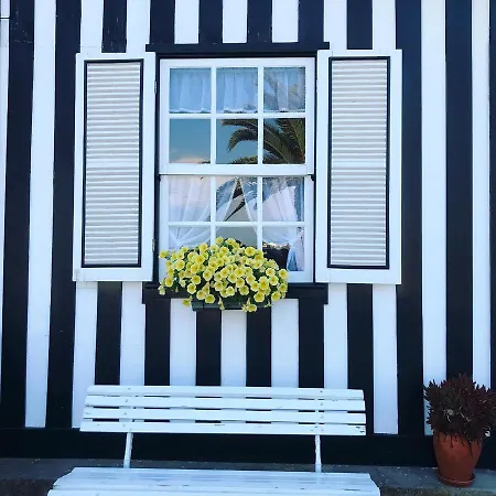 Aveiro's Dock Апартаменты Авейру