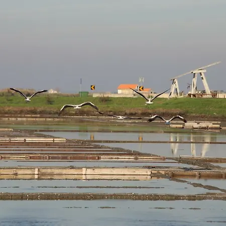 Aveiro's Dock *