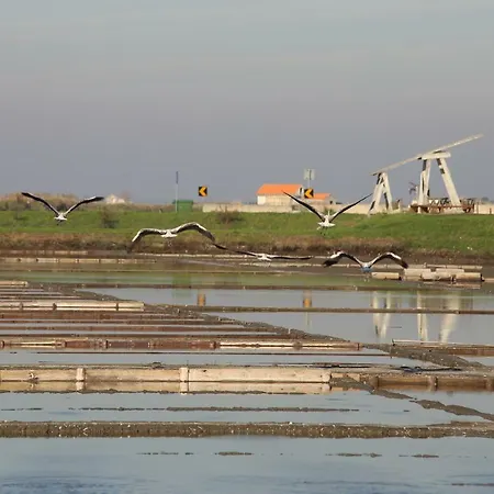 Aveiro's Dock *