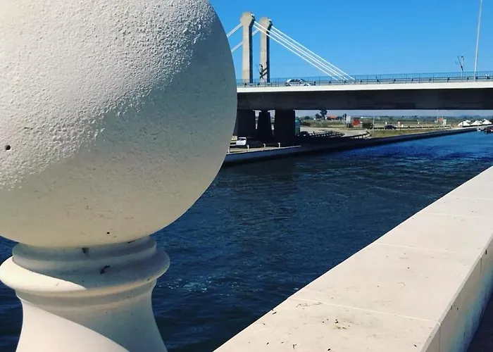 Aveiro's Dock Aveiro