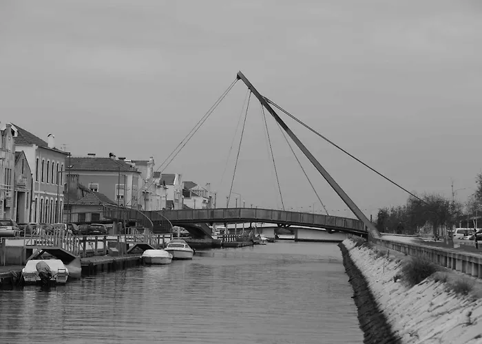 Aveiro's Dock Aveiro