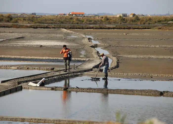 Daire Aveiro's Dock *
