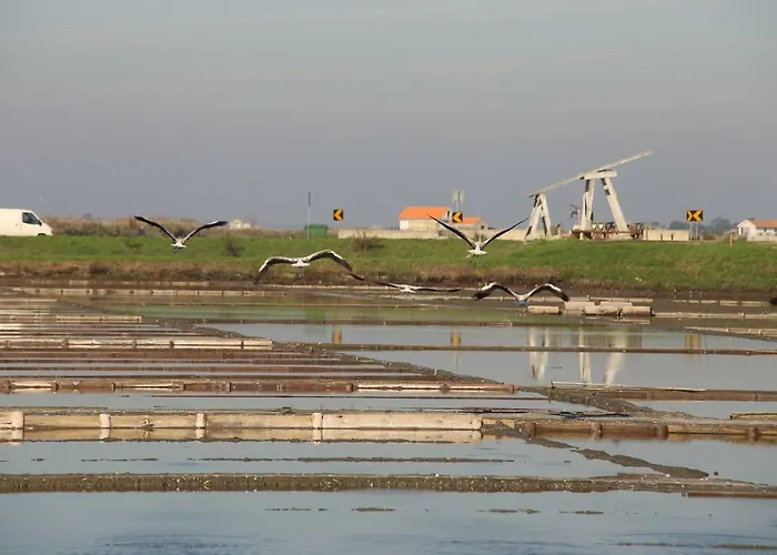 Aveiro's Dock *